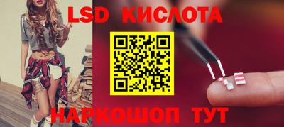 стаф Новокубанск