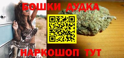 стаф Новокубанск