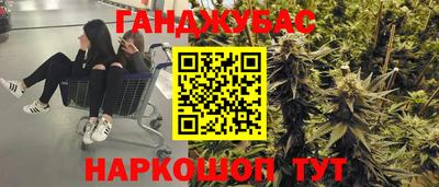 стаф Новокубанск