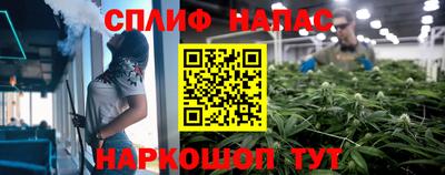 стаф Новокубанск