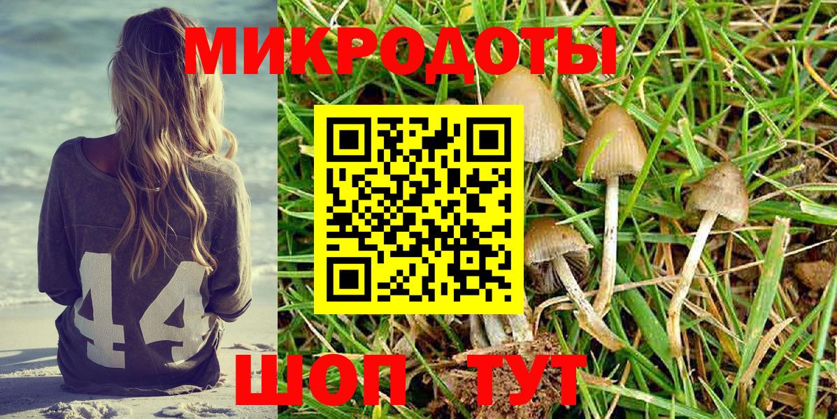 цена наркотик  Галлюциногенные грибы Psilocybe  Семилуки  Вход с VPN  Галлюциногенные грибы Cubensis 